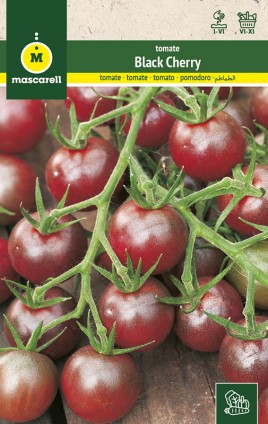 TOMATO BLACK CHERRY