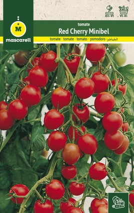 TOMATO RED CHERRY