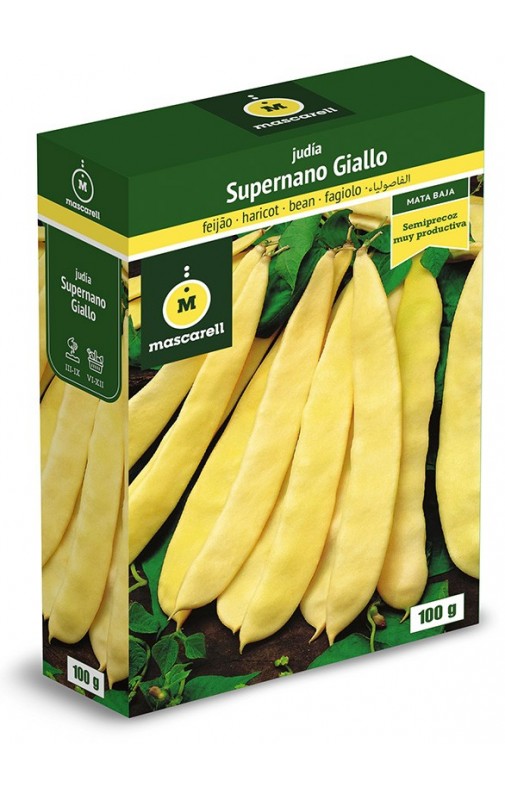 Haricot SUPERNANO GIALLO