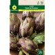 Artichoke Violet de Provence