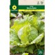 Lettuce Batavia Rubia