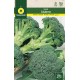 BROCCOLI VERT CALABRESE